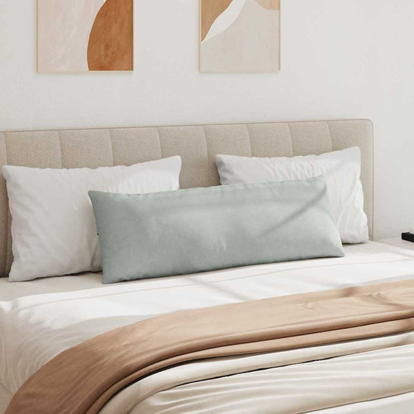 vidaXL Coussins de canapé 2 pcs Gris clair 120 x 40 cm Tissu en velours côtelé