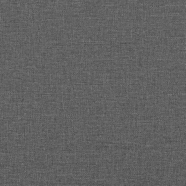 vidaXL Coussins de canapé 2 pcs Gris foncé 45 x 45 cm Tissu