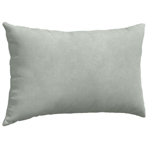 vidaXL Coussins de canapé 2 pcs Gris clair 50 x 30 cm Tissu côtelé