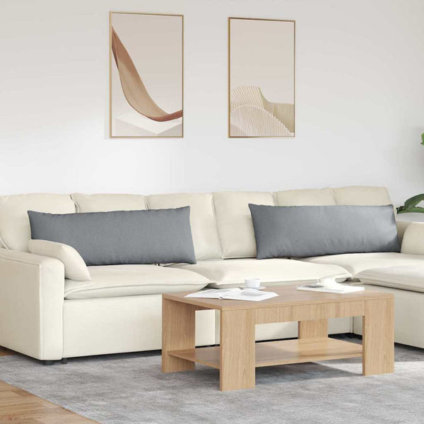 Sofakissen 2er Set Hellgrau 120x40 cm