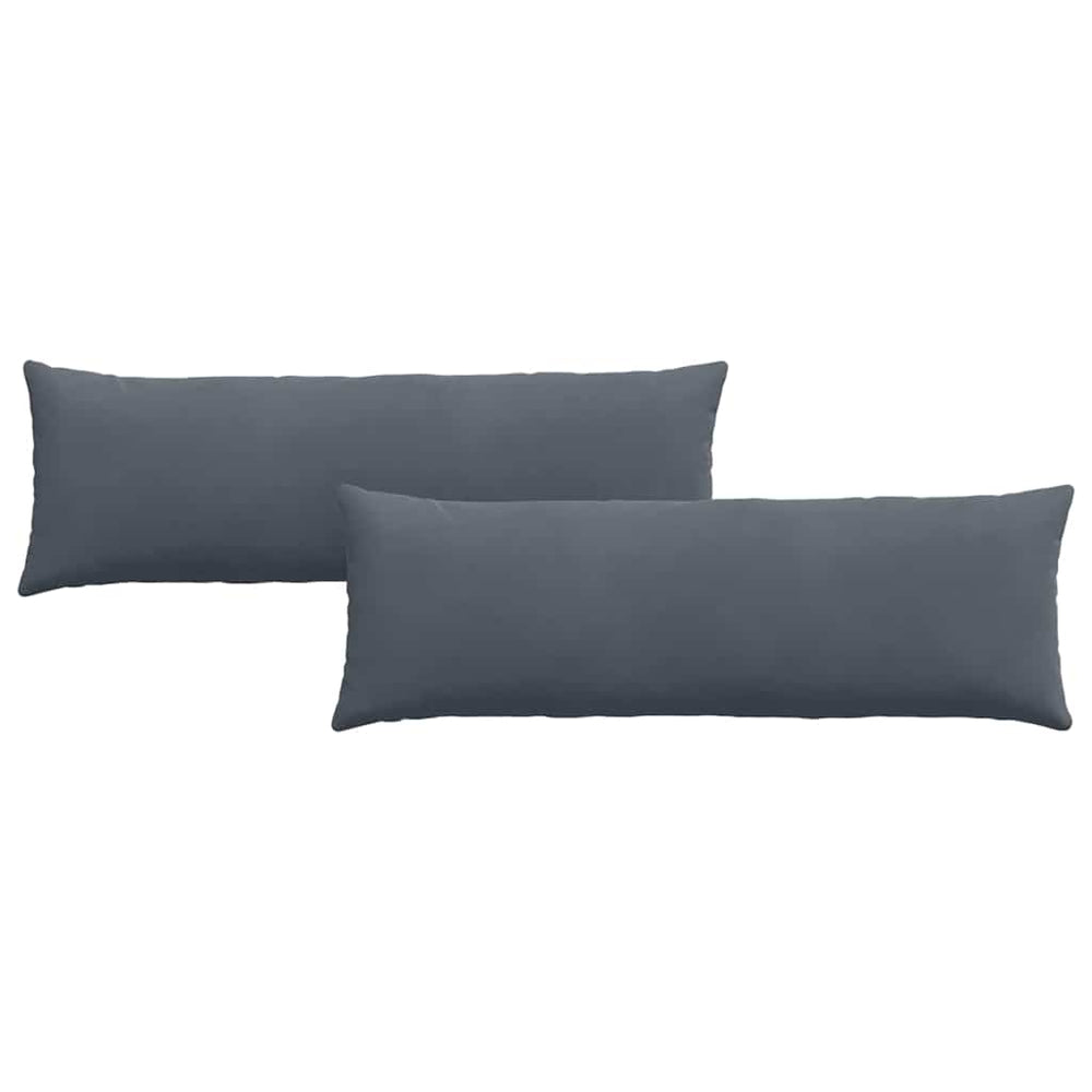 vidaXL Coussins de canapé 2 pcs Gris foncé 120 x 40 cm Tissu en velours côtelé