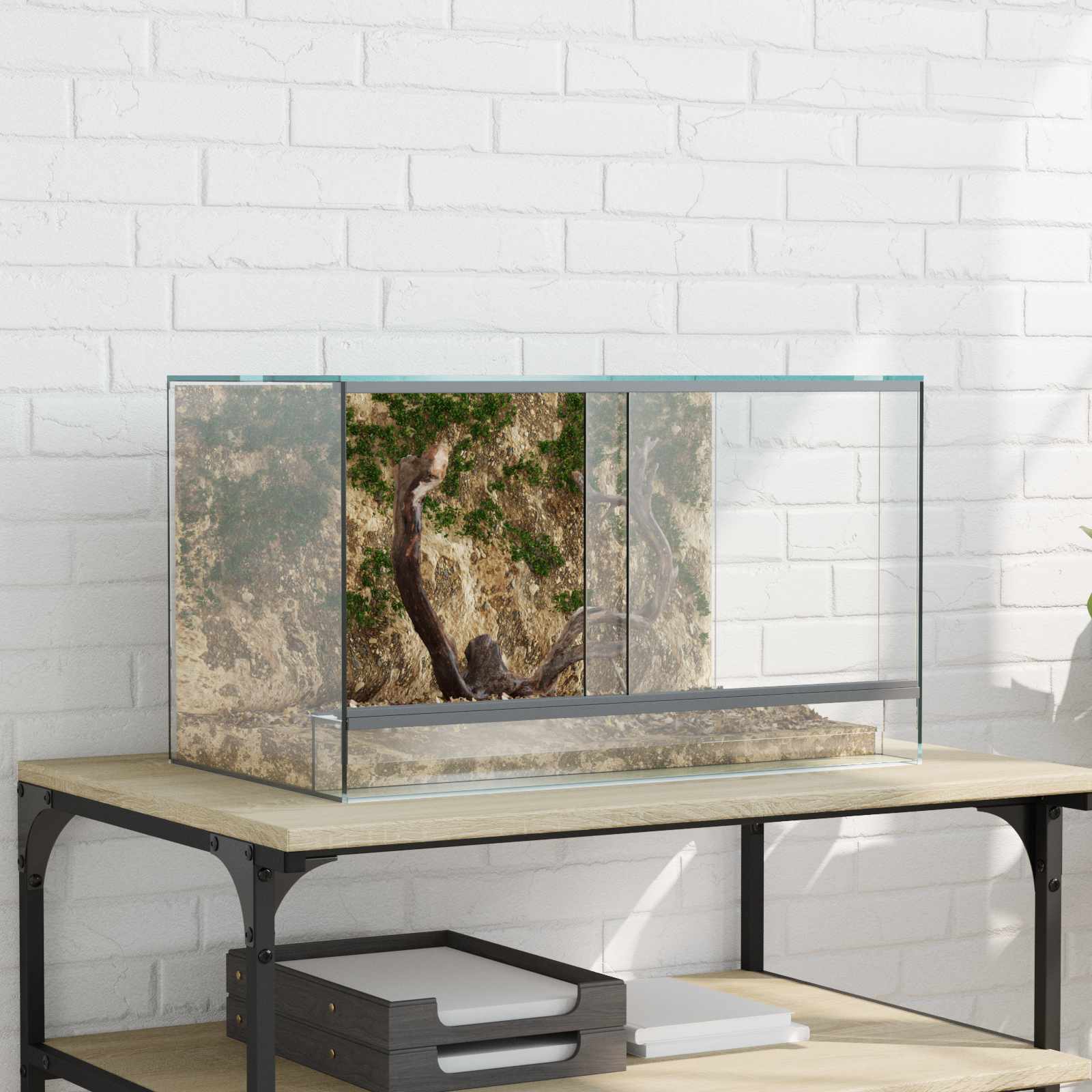 Terrarium mit Speicher Transparent 50x30x30cm
