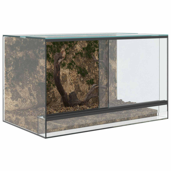 Terrarium mit Speicher Transparent 50x30x30cm