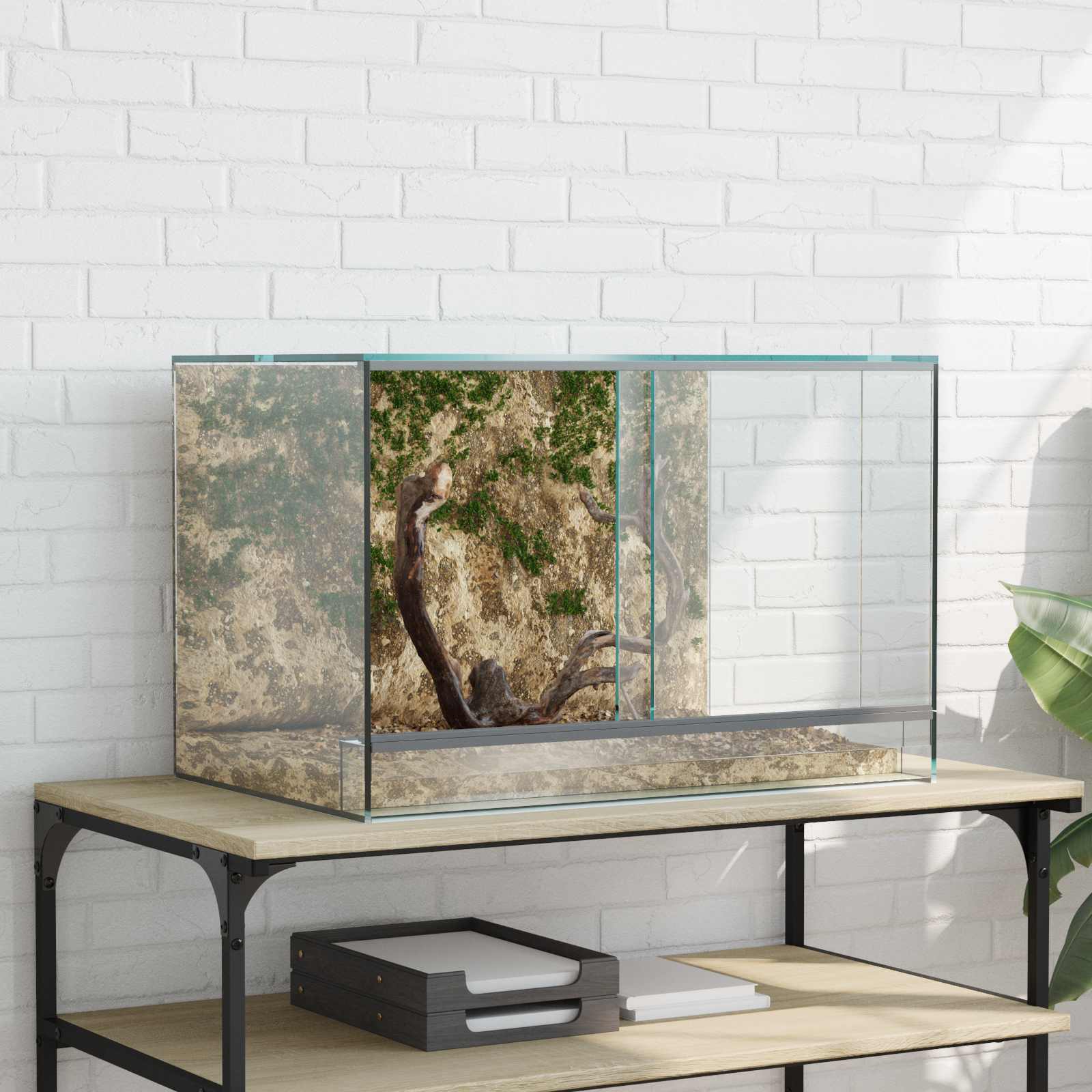 Terrarium Glas 60x40x40cm Reptilien