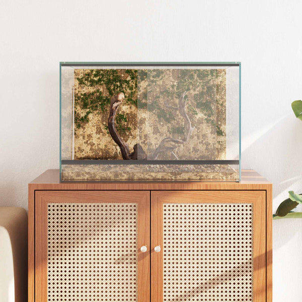 Terrarium Glas 60x40x40cm Reptilien