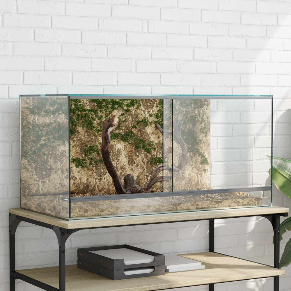 Glas Terrarium mit Stauraum 80x40x40cm