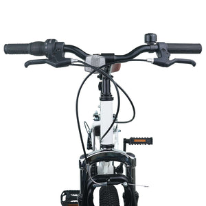VTT vidaXL 20 pouces 6 vitesses pour enfants de 5 à 8 ans Blanc