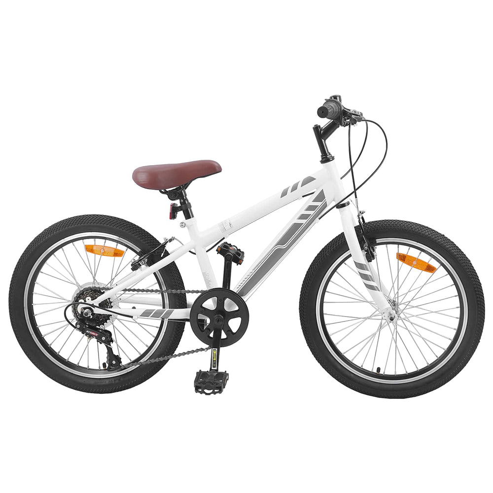 20 Zoll Mountainbike 6-Gang für Kinder
