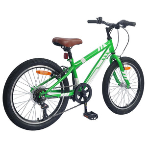 20 Zoll Mountainbike 6-Gang Grün für 5-8 Jährige