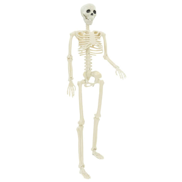 Halloween Skelett Weiß 85cm 2er-Set