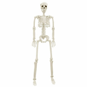 Halloween Skelett Weiß 85cm 2er-Set