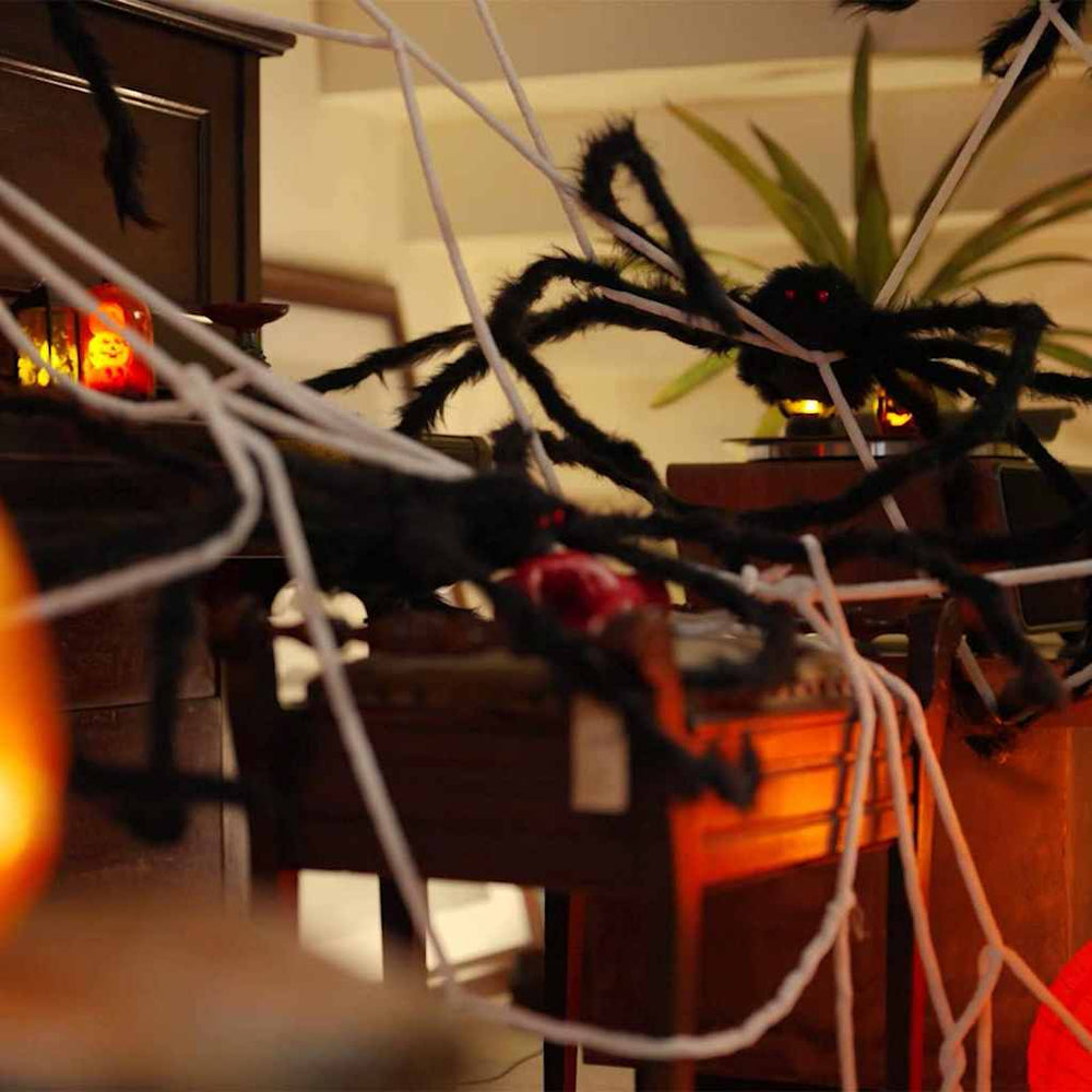 Halloween Spinnendeko mit Netz, 2er-Set