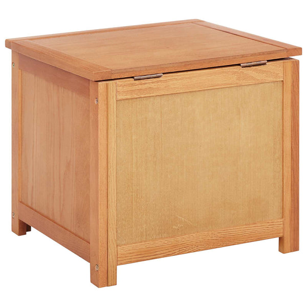Aufbewahrungsbox mit Stauraum 50x45x45 cm