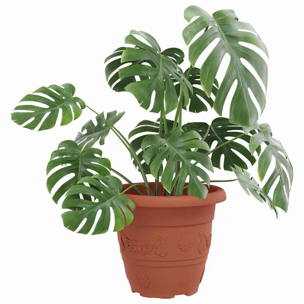 Runder Blumentopf 6er Set Ziegelrot