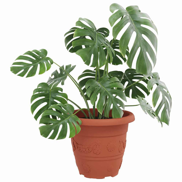 Runder Blumentopf, Ziegelrot, 26 cm, 24er-Set