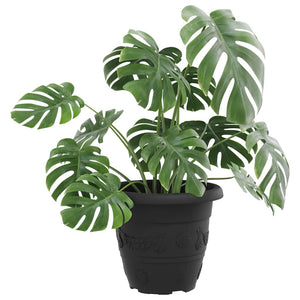 Runder Blumentopf Schwarz 24er Set Ø22cm