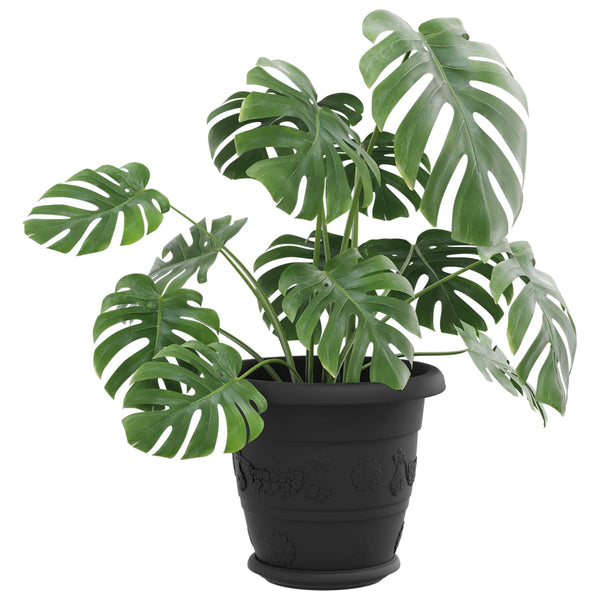 Blumentöpfe Schwarz 6 Stk. Ø 22cm