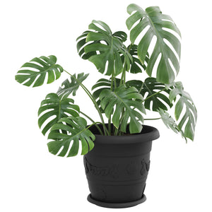 Blumentöpfe Schwarz 34 cm - 24er Set