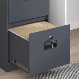 vidaXL Meuble de classement anthracite 44 x 50 x 74,5 cm en acier laminé à froid