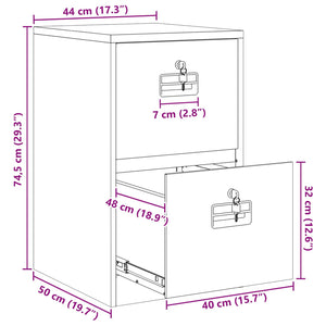vidaXL Meuble de classement anthracite 44 x 50 x 74,5 cm en acier laminé à froid