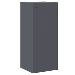 vidaXL Armoire de classement Anthracite 45,5 x 42 x 106,5 cm Acier laminé à froid