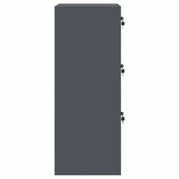 vidaXL Armoire de classement Anthracite 45,5 x 42 x 106,5 cm Acier laminé à froid