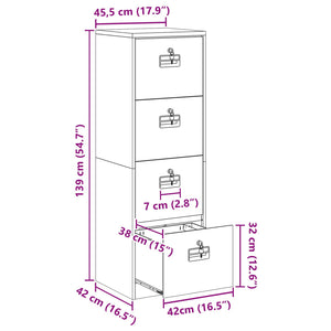 Schwarzer Aktenschrank aus Stahl