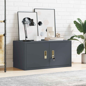 vidaXL Armoire de rangement anthracite 80 x 40 x 40 cm acier