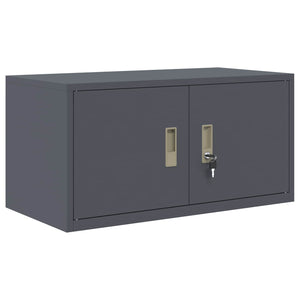 vidaXL Armoire de rangement anthracite 80 x 40 x 40 cm acier