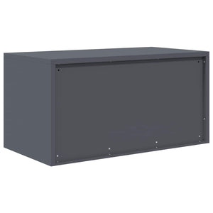 vidaXL Armoire de rangement anthracite 80 x 40 x 40 cm acier