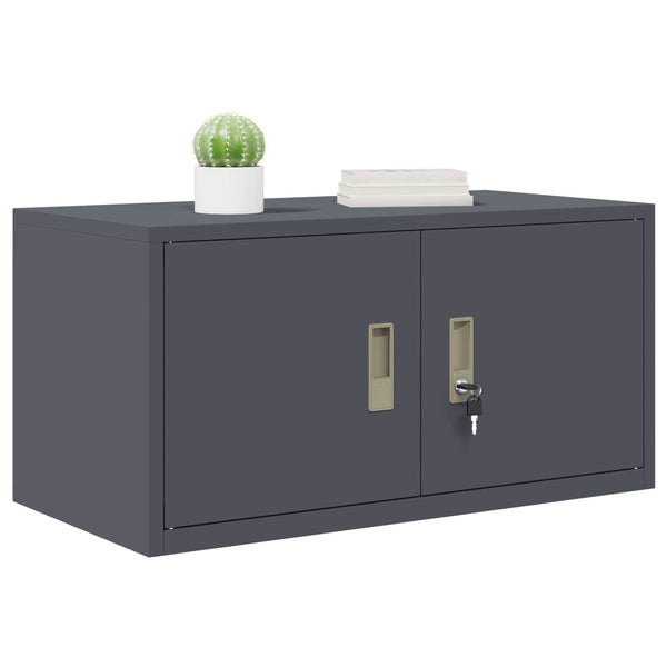 vidaXL Armoire de rangement anthracite 80 x 40 x 40 cm acier