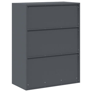 vidaXL Armoire de rangement Anthracite 80 x 40 x 105 cm Acier