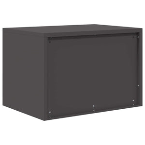 Schwarzer Stahlschrank, 60x40x40 cm