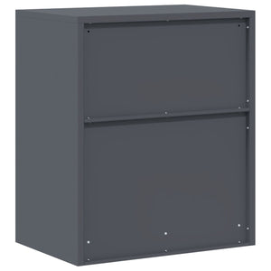 vidaXL Armoire de rangement anthracite 60 x 40 x 70 cm Acier