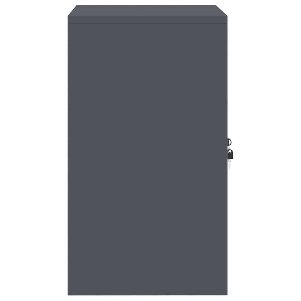 vidaXL Armoire de rangement anthracite 60 x 40 x 70 cm Acier