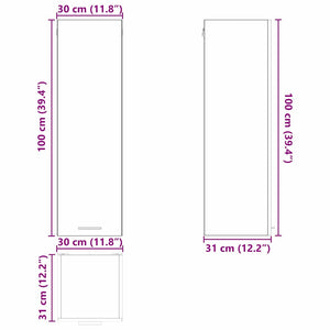 Hängeschrank Schwarz Eichenoptik 30x100 cm