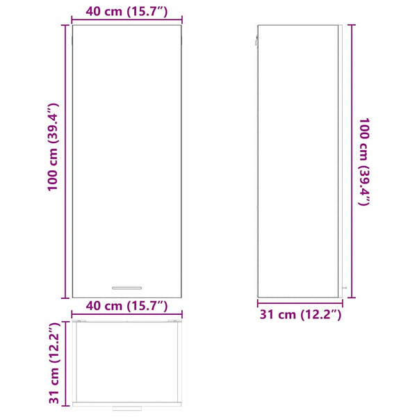 Hängeschrank Riga Grau Sonoma 40x31x100 cm