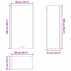 Hängeschrank Betongrau/Weiß 50x31x100cm