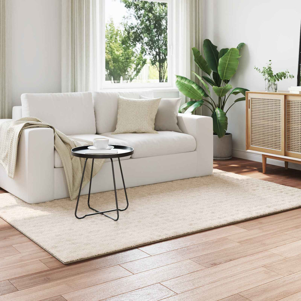 Beiger Teppich SIROLO 230x160 cm