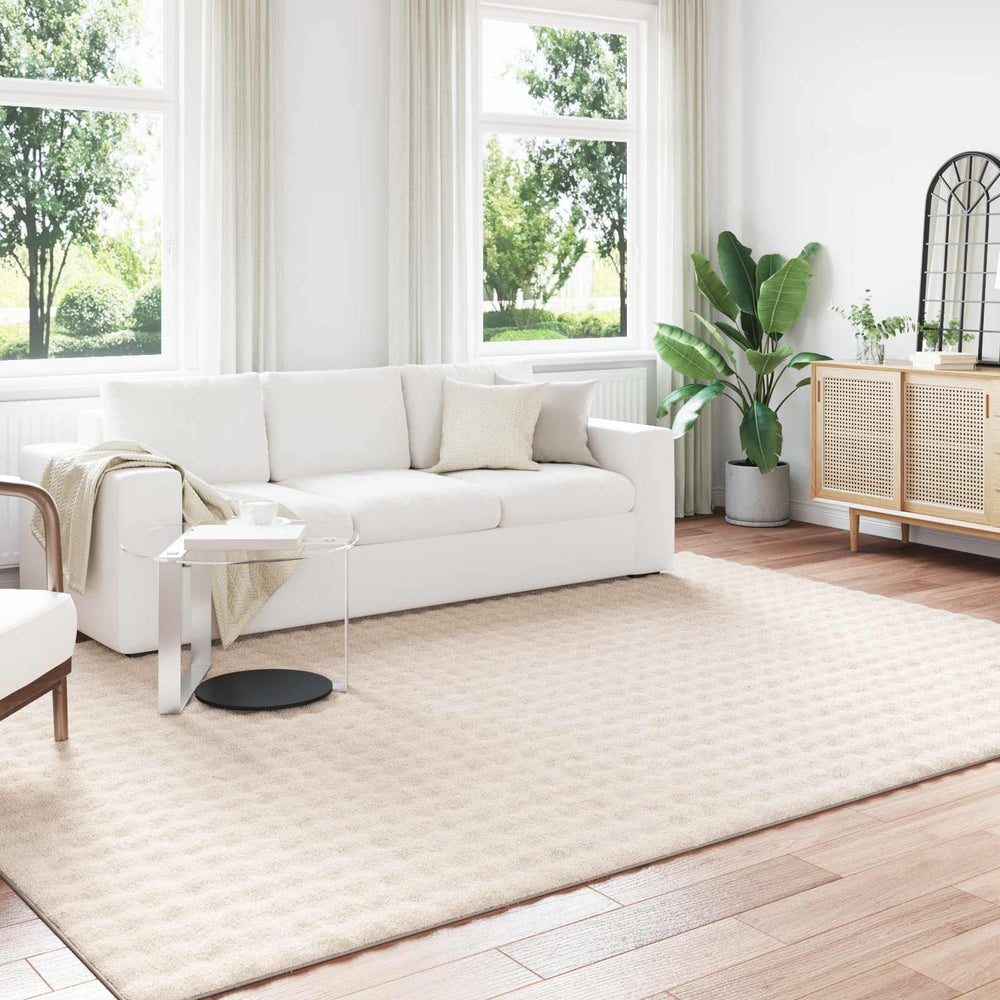 Beiger Teppich 340 x 240 cm