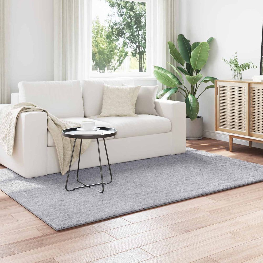 Grauer Teppich 230 x 160 cm