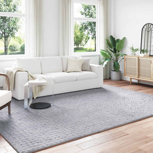Grauer Teppich 340x240 cm