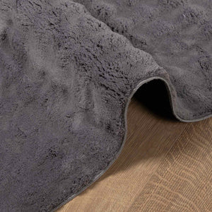 Anthrazit Teppich SIROLO 150x80 cm