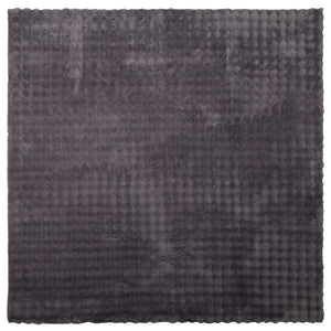 Anthrazit Teppich SIROLO 120x120 cm