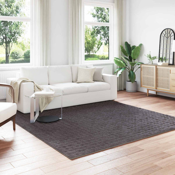 Anthrazit Teppich SIROLO 240x240 cm