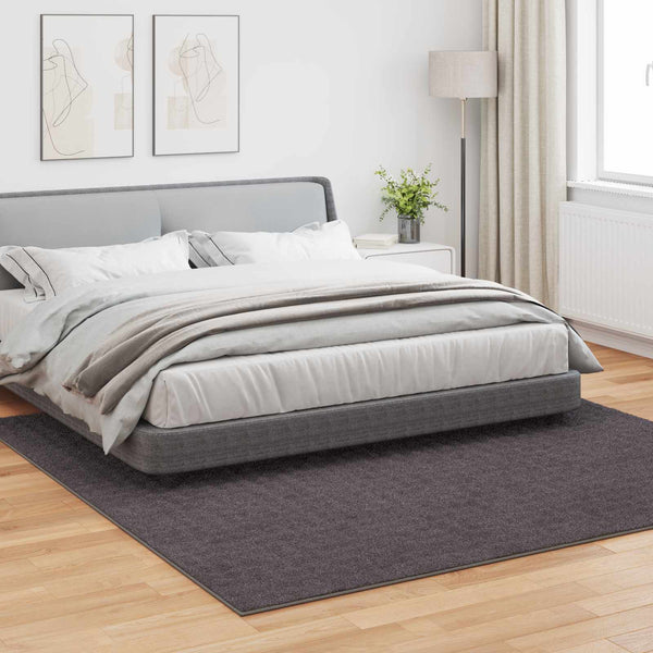 Anthrazit Teppich SIROLO 240x240 cm