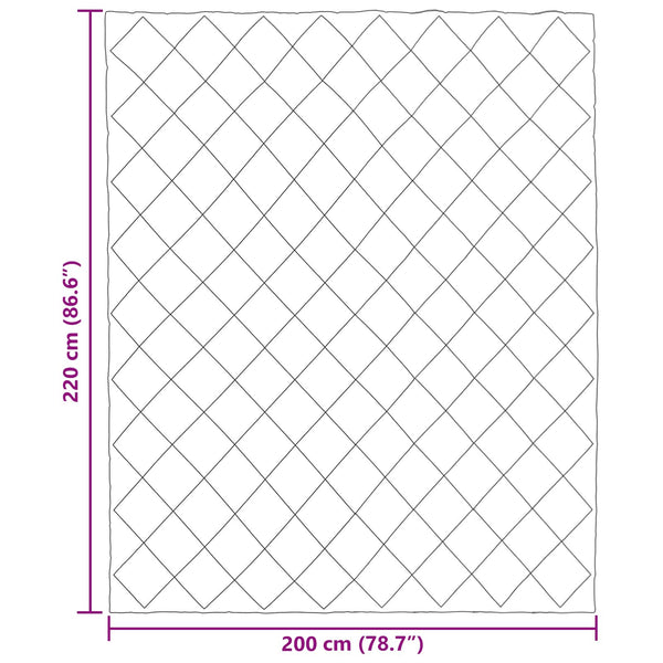 Ganzjahresbettdecke 200x220 Anthrazit Taupe Mikrofaser