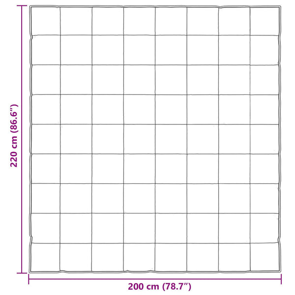 Ganzjahresbettdecke Schwarz 200x220 cm