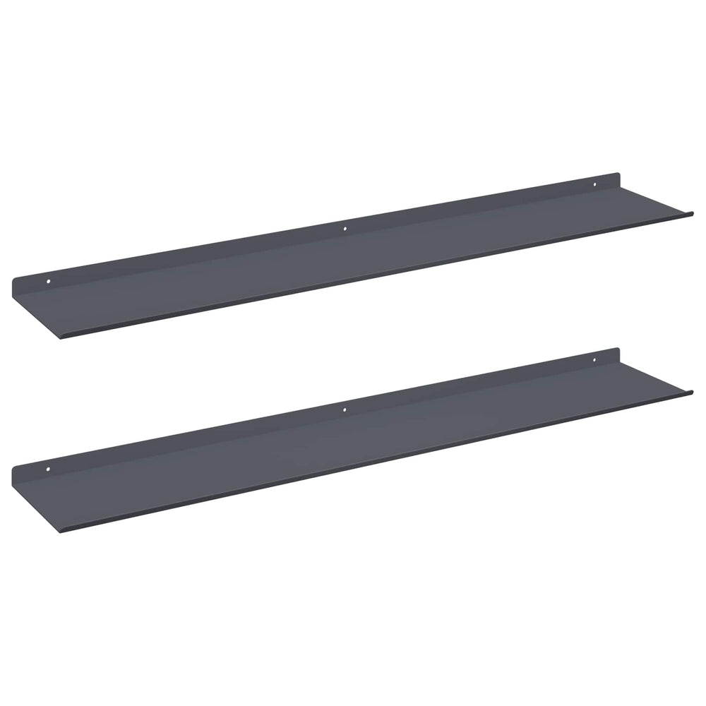 vidaXL Étagère flottante 2 pcs Anthracite 100 x 18 x 2,5 cm Acier