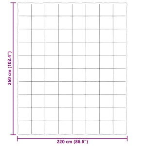 Ganzjahresbettdecke Anthrazit 220x260 cm